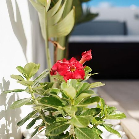Villa Palmera Jacuzzi Yaiza  Eksteriør billede